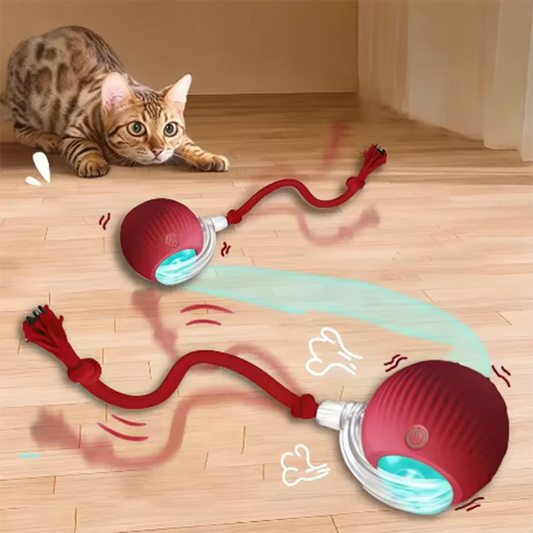Interactive Plastic Cat Ball Toy with Obstacle Avoidance